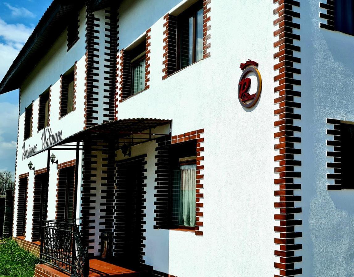 Pensiunea Platinum Târgu Jiu Buitenkant foto